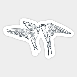 Barn Swallow Birds Sticker